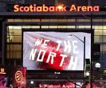 多伦多猛龙队夺冠阵容