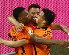 欧洲杯奥地利足球队